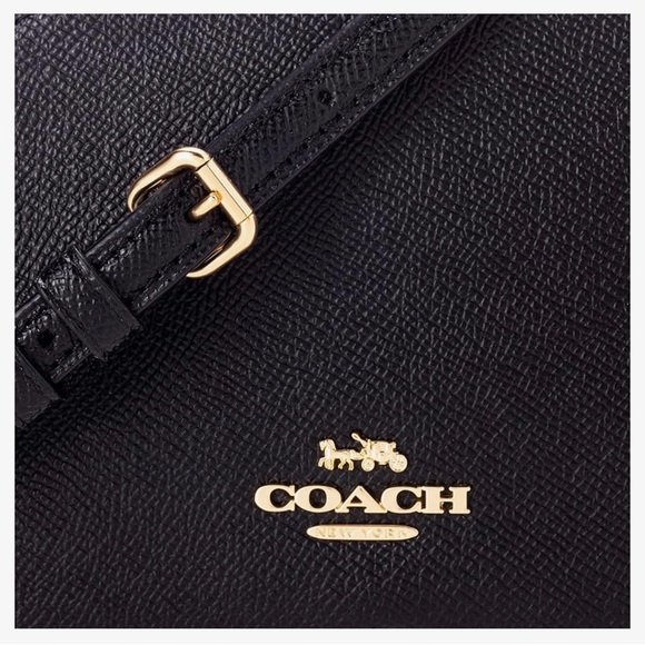 Coach Mini Serena Crossbody 6 1/2" (L) x 4 3/4" (H) x 2" (W) - Picture 8 of 8